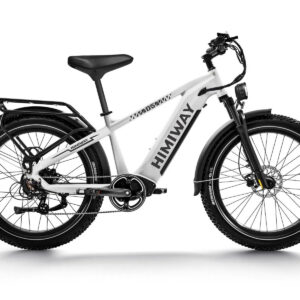 Himiway Zebra Step-Thru Fat-Tire E-Bike